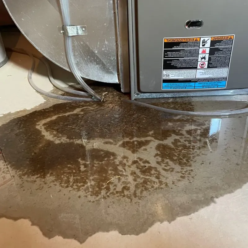 Pipe Burst and Leak Restoration in Lepanto, AR